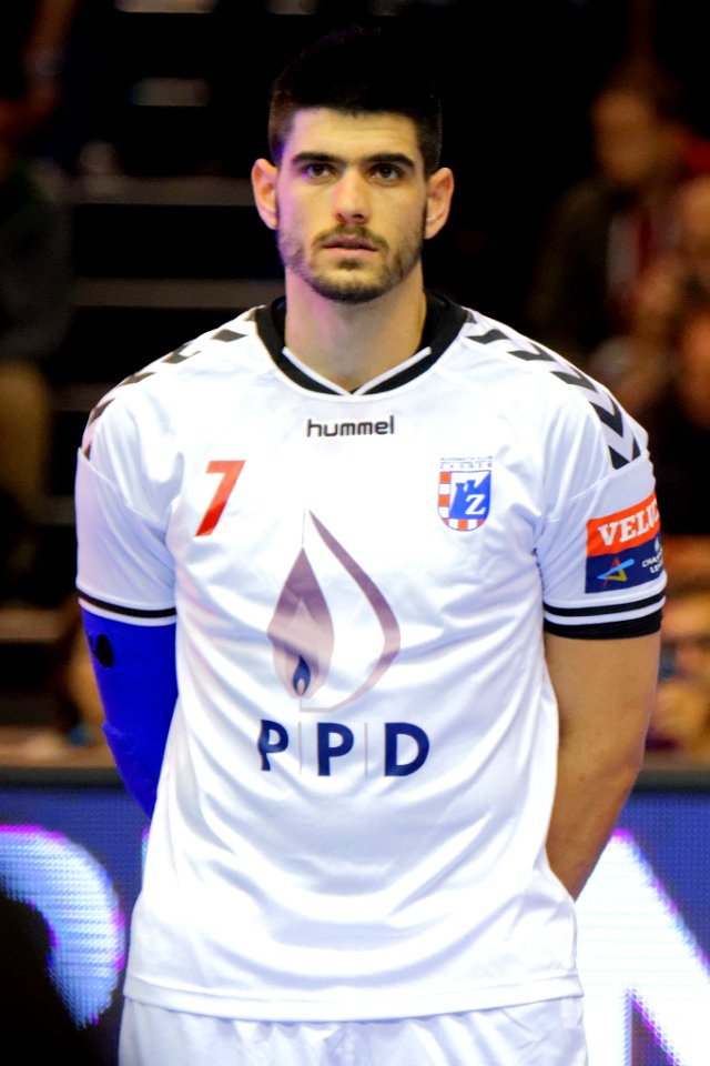 Luka Stepancic 20151011