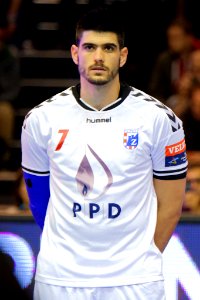Luka Stepancic 20151011