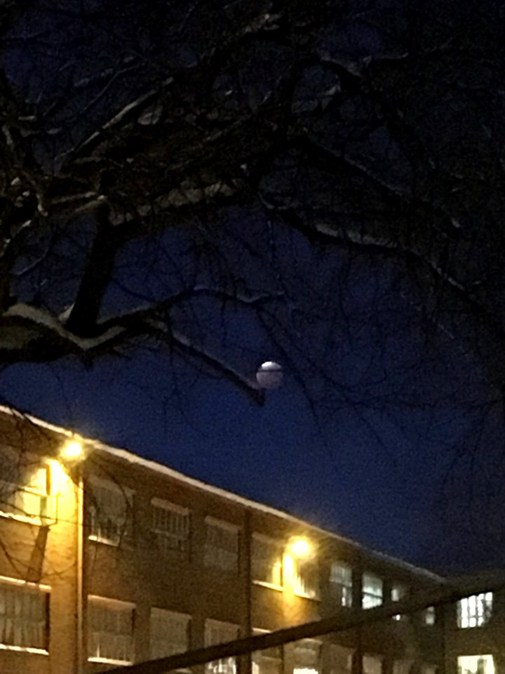 Lunar eclipse 21 Jan 2019 in Helsinki 2