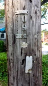 Lumens - Utility pole - Arlington, MA - 20200623 084656