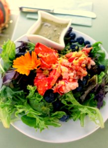 Lunch - Coastal Maine Botanical Gardens - DSC03084