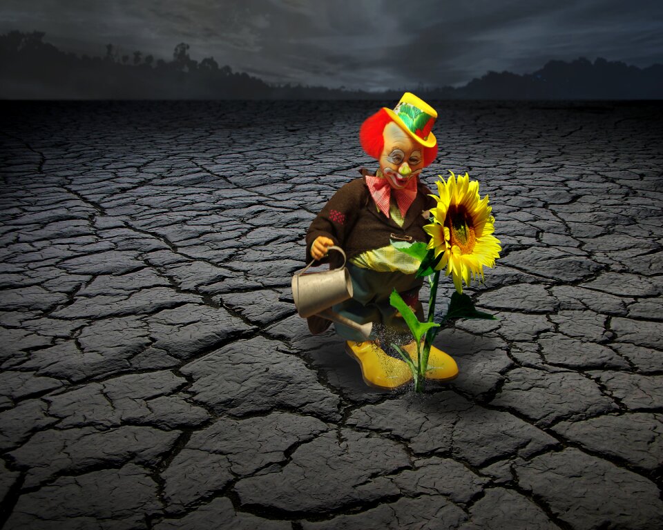 Funny fun sunflower
