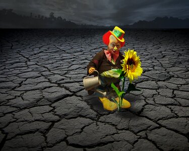 Funny fun sunflower