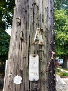 Lumens - Utility pole - Arlington, MA - 20200625 100725