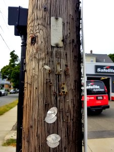 Lumens - Utility pole - Arlington, MA - 20200922 105701