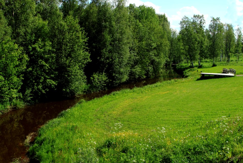 Lumijoki Park 20150622
