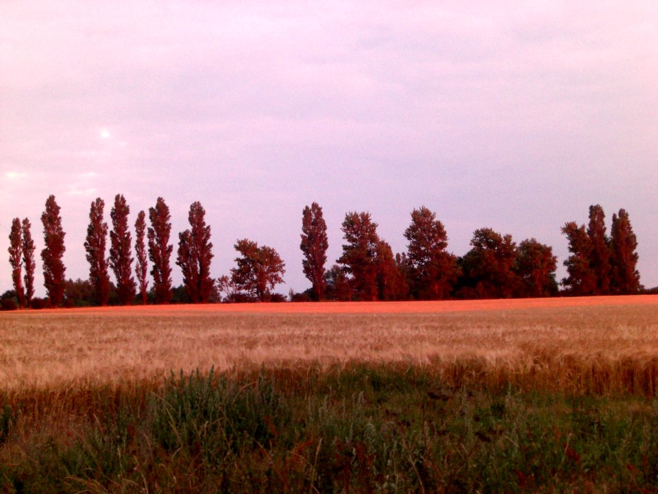 Lumière du soir à Femo