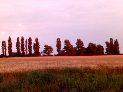 Lumière du soir à Femo