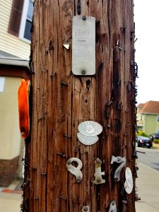 Lumens - Utility pole - Arlington, MA - 20200922 105421