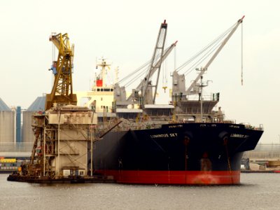 Luminous Sky - IMO 9303118