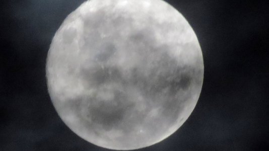 Luna Lunera (183563997)