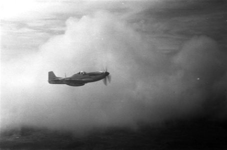 Luchtopname van een Mustang, Bestanddeelnr 2101