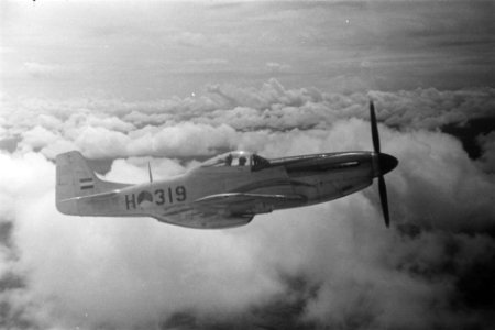 Luchtopname van een Mustang, Bestanddeelnr 2103
