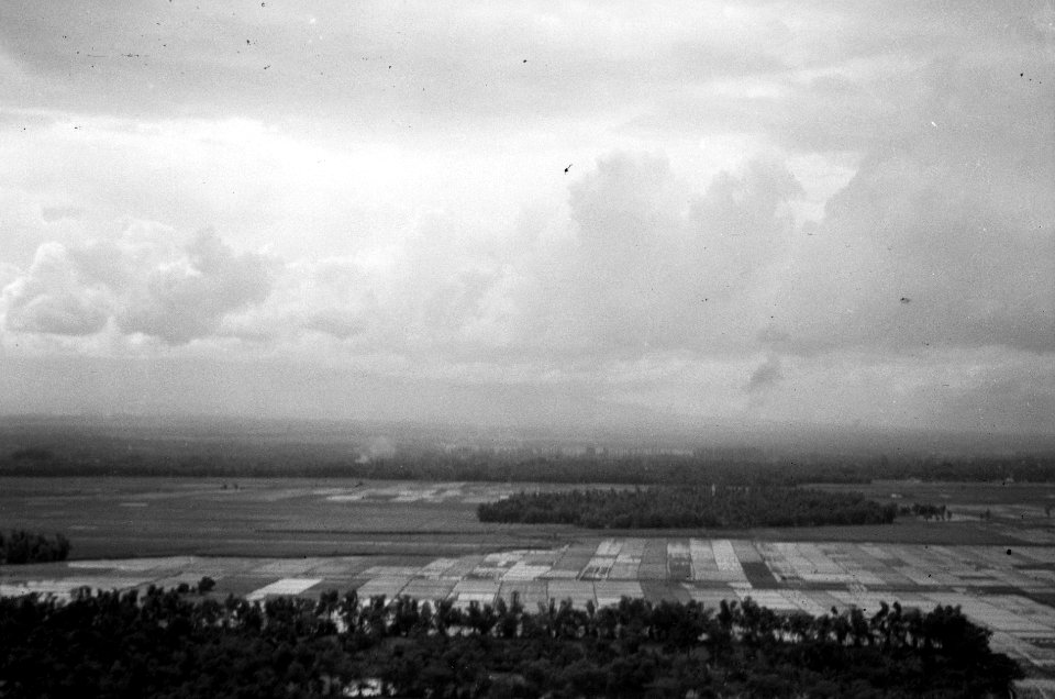 Luchtopname. Landschap met rijstvelden. Een elipsvormig bosperceel is te zien, Bestanddeelnr 2715