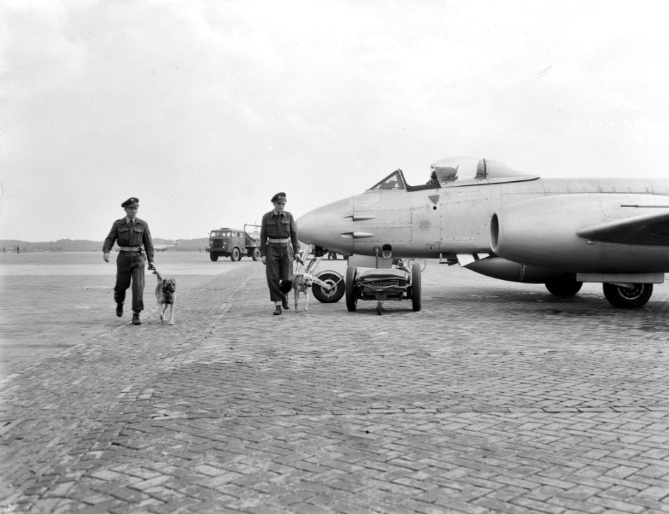 Luchtmachtoefening Soesterberg. Bewakingshonden, Bestanddeelnr 905-3106