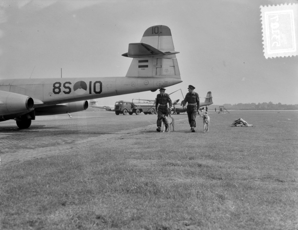 Luchtmachtoefening Soesterberg. Bewakingshonden, Bestanddeelnr 905-3107