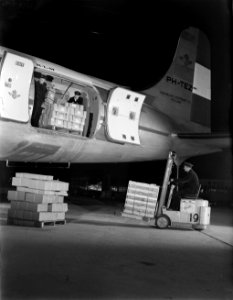 Luchthavenpersoneel bezig met laden of lossen van vracht van een DC-4 van KLM, Bestanddeelnr 190-0993