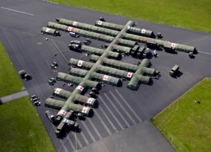 Luchtfoto-van-een-mogos-op-de-start-en-landingsbaan-van-voormalige-vliegbasis-soesterberg photo