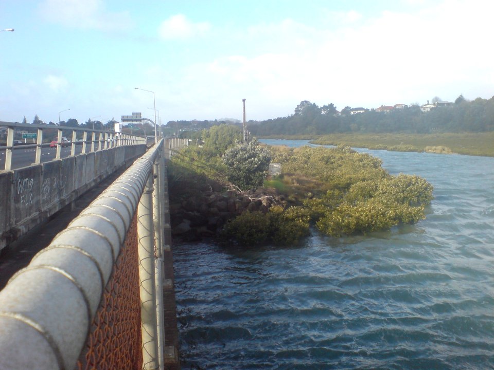 Looking East Towards Oakley Creek Estuary