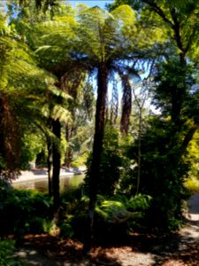Looking into the Queens Gardens, Nelson