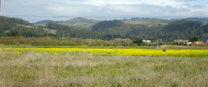 Looking eastwards towards Half-Moon-Bay California