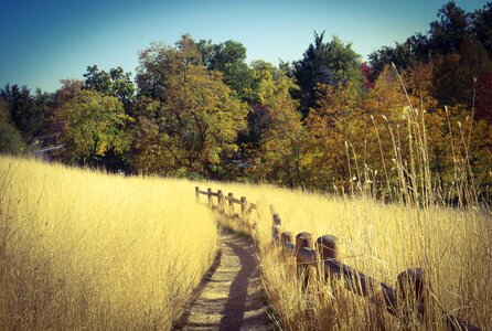 Autumn foothills trail