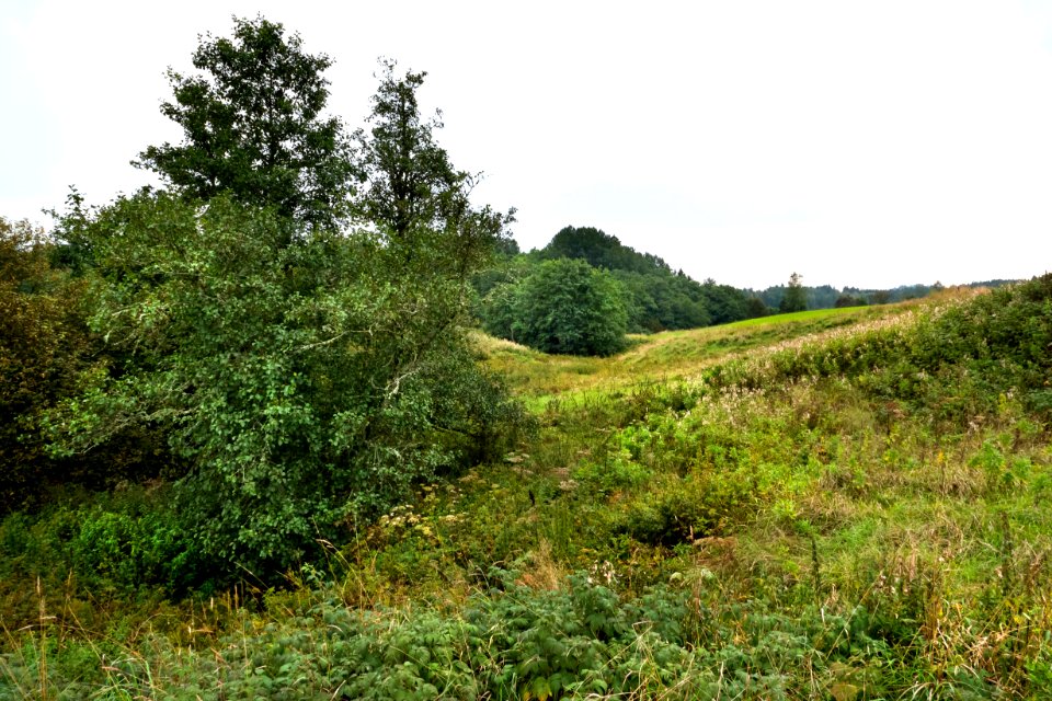 Looking south from a dip in the road in Färlev