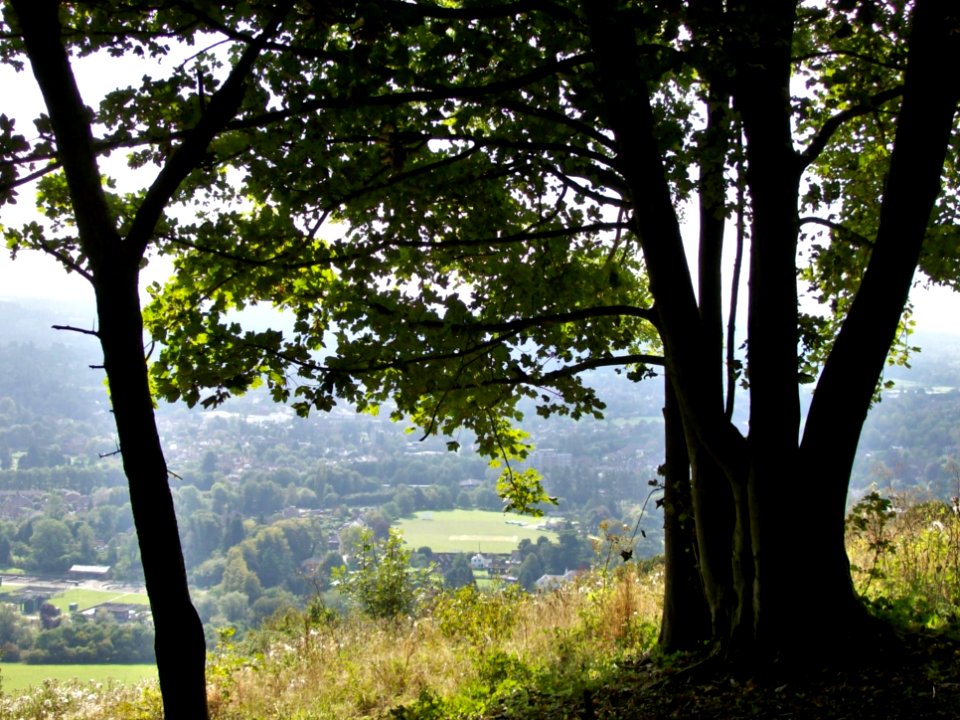 Looking South from Box Hill