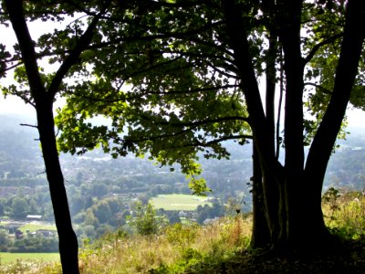 Looking South from Box Hill