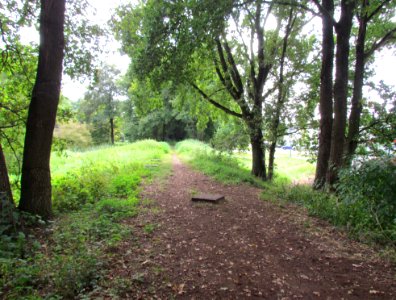 Loolijn west