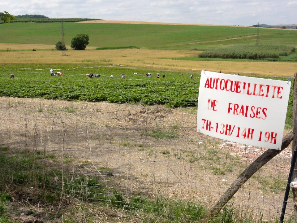 Loromontzey (M-et-M) paysage hameau Loro