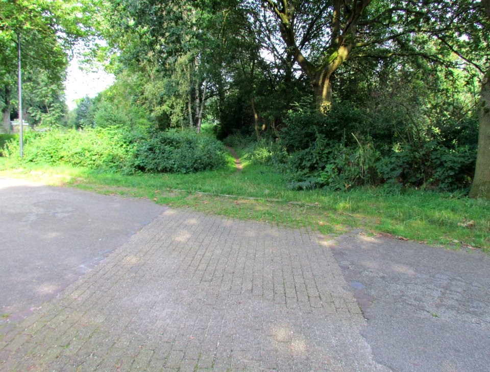 Loolijn - Waterloseweg