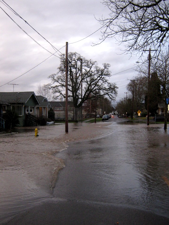LookingNorthFlooding14thStreet