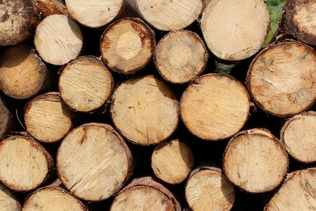 Lumber wooden wooden logs photo