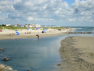 Looking northeast from Wildwood at a tidal pond