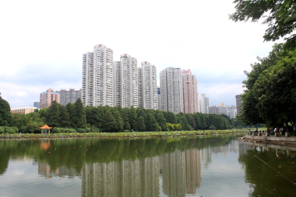 Lotus pond of Honghu Park36