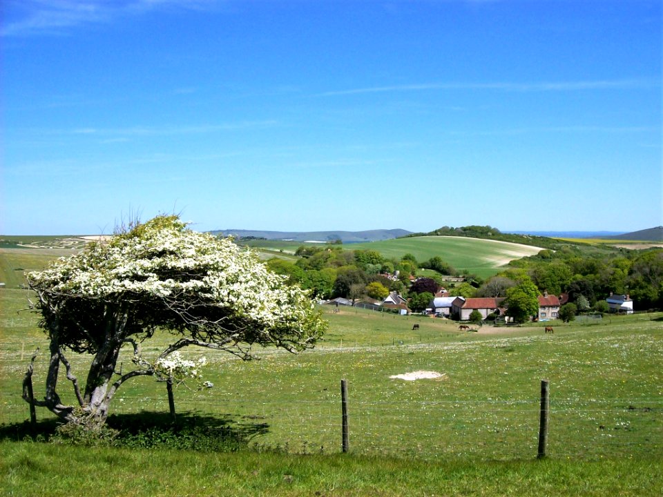 Looking down on Telscombe