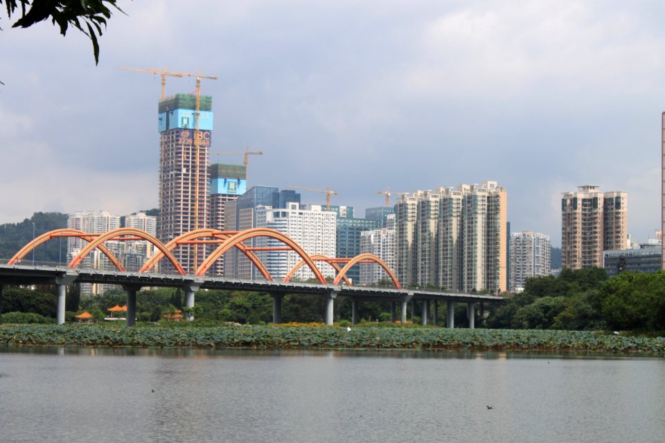 Lotus pond of Honghu Park39
