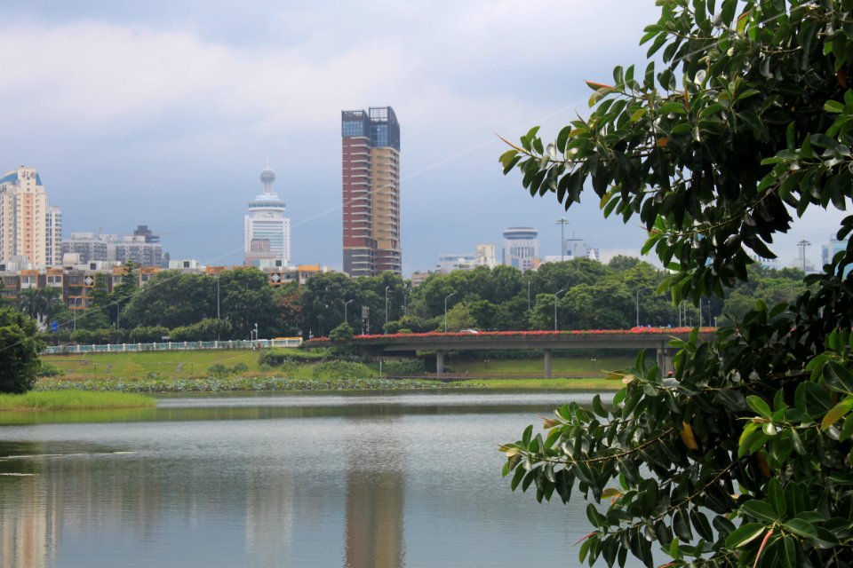 Lotus pond of Honghu Park44