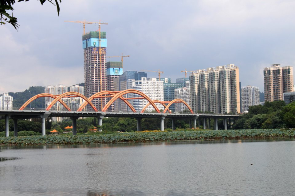 Lotus pond of Honghu Park38