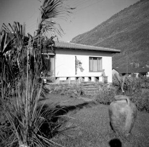 Losone Bungalow met kruik en struik in de tuin, Bestanddeelnr 254-4799