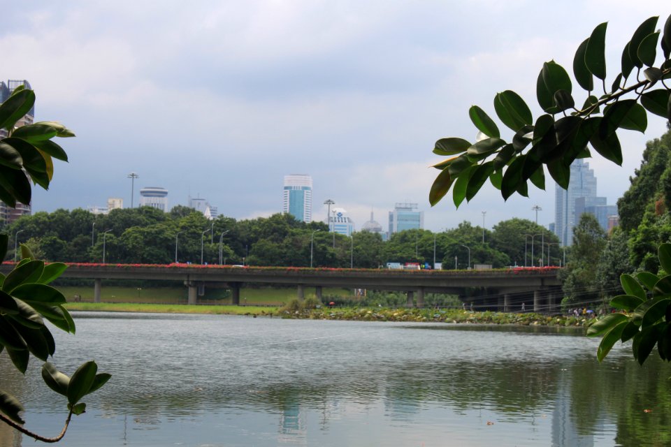 Lotus pond of Honghu Park45