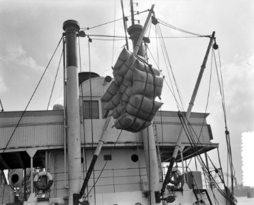 Lossen Pools schip Warnja Rotterdam (Prasa), Bestanddeelnr 907-7136