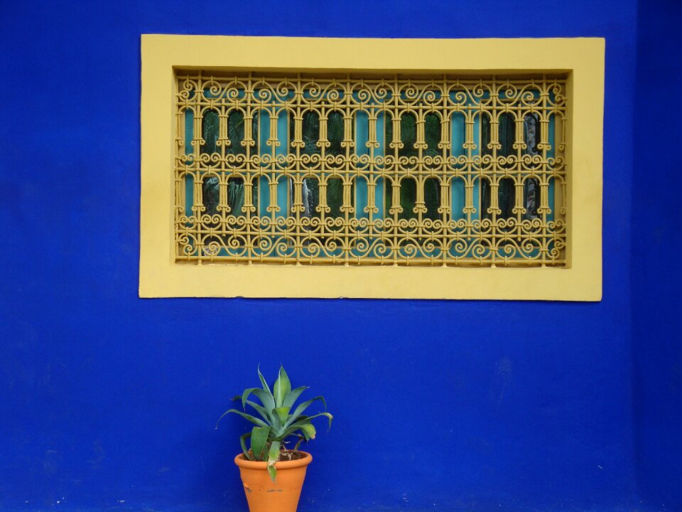 Blue background garden