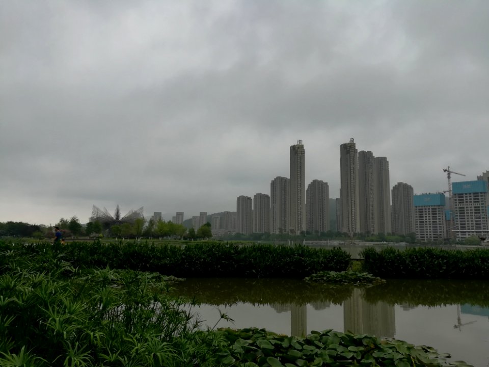 Lotus pool near Meixi Lake, in Changsha, Hunan, China, Picture3