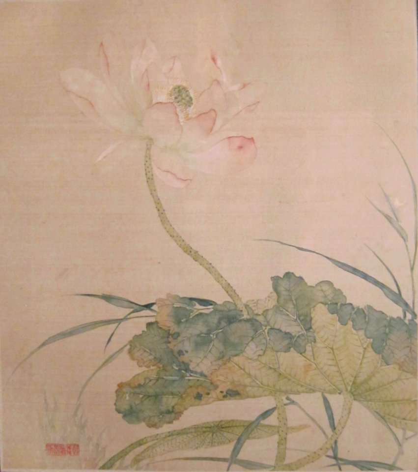 Lotus from 'Album of Flower Paintings' by Tao Rong, Honolulu Museum of Art