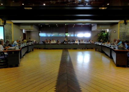Loon-Plage (Nord) salle du conseil municipal