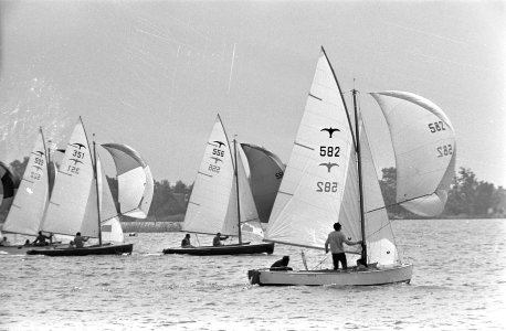 Loosdrecht Hollandweek. De Valken in het voordewindse rak, Bestanddeelnr 921-5393