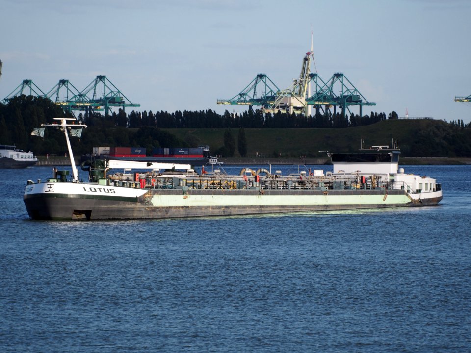 Lotus - ENI 02326687, Port of Antwerp