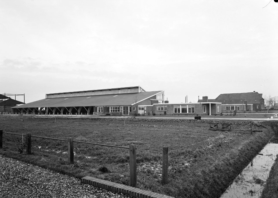 Loopstal boerderij VAn de Beek ( eigenaar nv Luchthaven Schiphol), Bestanddeelnr 162-0253